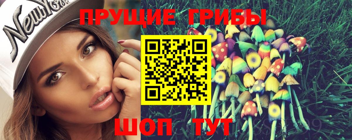 Кизилюрт  где можно купить   Вход с VPN  Псилоцибиновые грибы мухоморы 